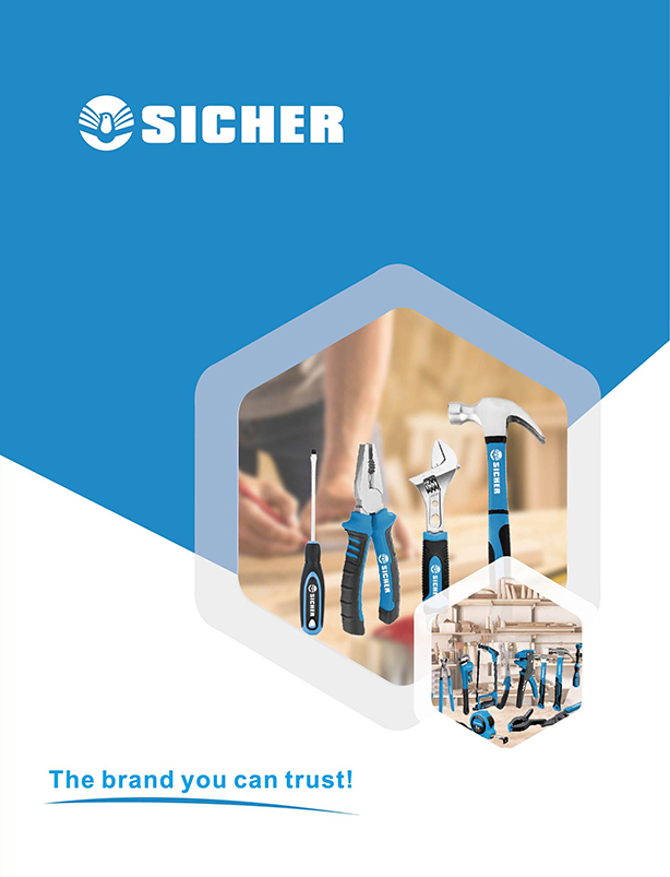 SICHER 2025