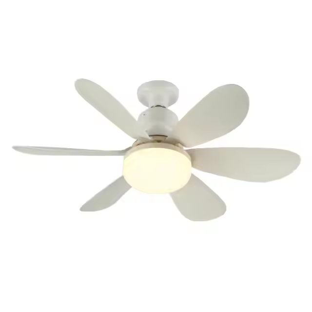 Fan Light