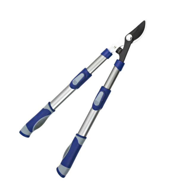 Telescopic bypass lopper   
