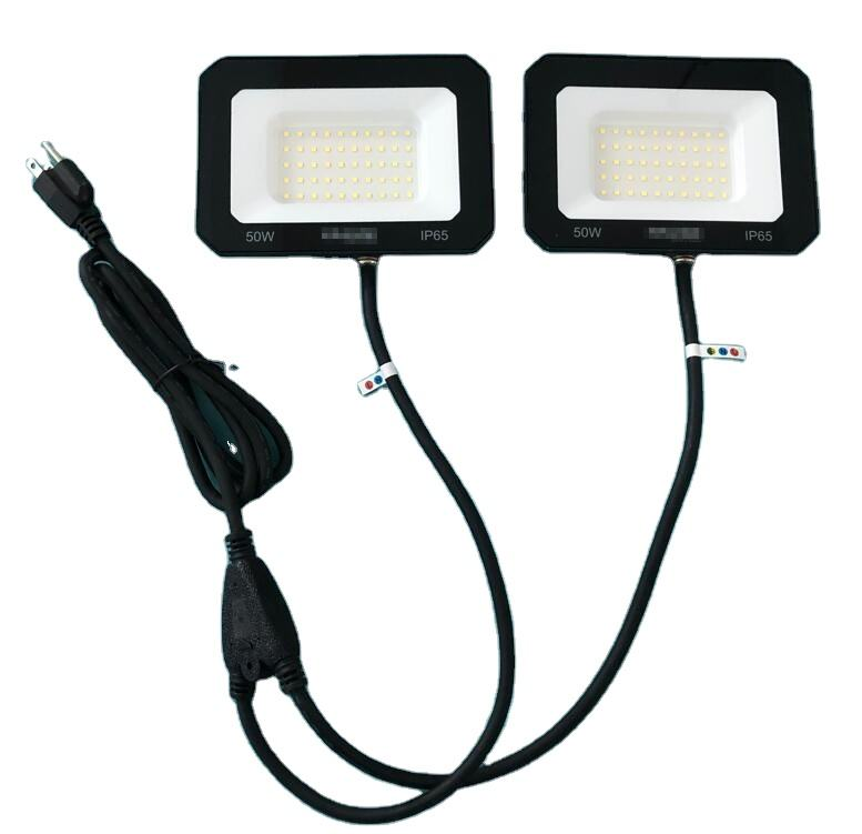 LED Flood Light