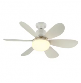Fan Light