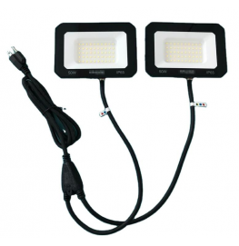 LED Flood Light