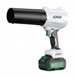 Brushless Srtom Blower